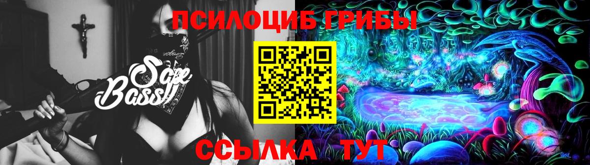 Псилоцибиновые грибы Cubensis  где купить наркоту  Рязань  Вход с VPN  Псилоцибиновые грибы Magic Shrooms 